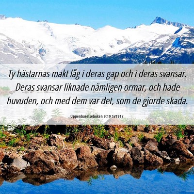 Picture 06 - Uppenbarelseboken 9:19 SV1917 - Ty hästarnas makt låg i deras gap och i deras - Bible Verse Picture