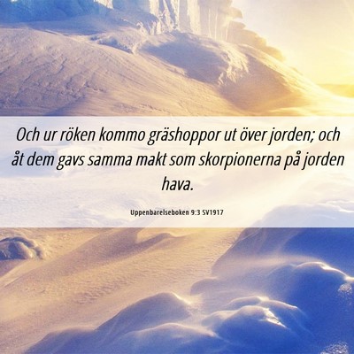 Picture 06 - Uppenbarelseboken 9:3 SV1917 - Och ur röken kommo gräshoppor ut över jorden; - Bible Verse Picture