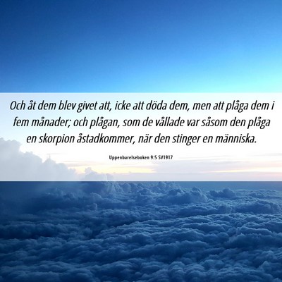Picture 06 - Uppenbarelseboken 9:5 SV1917 - Och åt dem blev givet att, icke att döda dem, - Bible Verse Picture