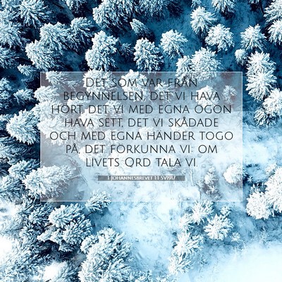 Picture 07 - 1 Johannesbrevet 1:1 SV1917 - Det som var från begynnelsen, det vi hava hört, - Bible Verse Picture