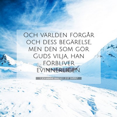 Picture 07 - 1 Johannesbrevet 2:17 SV1917 - Och världen förgår och dess begärelse, men - Bible Verse Picture