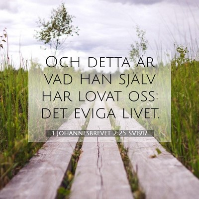 Picture 07 - 1 Johannesbrevet 2:25 SV1917 - Och detta är vad han själv har lovat oss: det - Bible Verse Picture