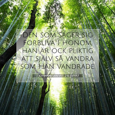 Picture 07 - 1 Johannesbrevet 2:6 SV1917 - Den som säger sig förbliva i honom, han är ock - Bible Verse Picture