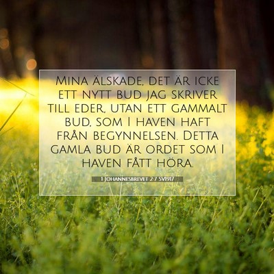 Picture 07 - 1 Johannesbrevet 2:7 SV1917 - Mina älskade, det är icke ett nytt bud jag - Bible Verse Picture