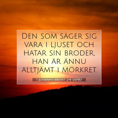 Picture 07 - 1 Johannesbrevet 2:9 SV1917 - Den som säger sig vara i ljuset och hatar sin - Bible Verse Picture
