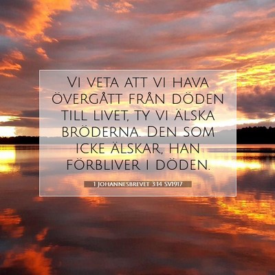 Picture 07 - 1 Johannesbrevet 3:14 SV1917 - Vi veta att vi hava övergått från döden till - Bible Verse Picture