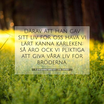 Picture 07 - 1 Johannesbrevet 3:16 SV1917 - Därav att Han gav sitt liv för oss hava vi - Bible Verse Picture