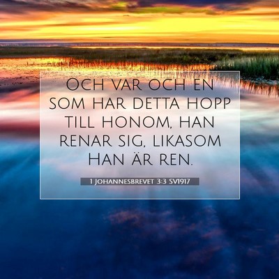 Picture 07 - 1 Johannesbrevet 3:3 SV1917 - Och var och en som har detta hopp till honom, han - Bible Verse Picture