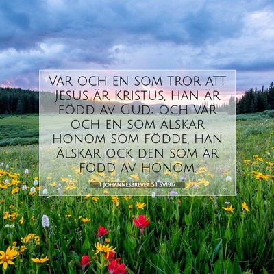 Picture 07 - 1 Johannesbrevet 5:1 SV1917 - Var och en som tror att Jesus är Kristus, han - Bible Verse Picture