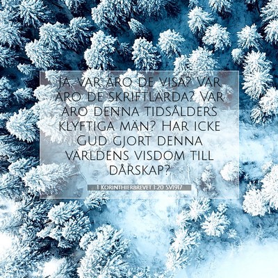 Picture 07 - 1 Korinthierbrevet 1:20 SV1917 - Ja, var äro de visa? Var äro de skriftlärda? - Bible Verse Picture