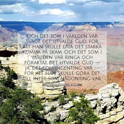 Picture 07 - 1 Korinthierbrevet 1:28 SV1917 - Och det som i världen var svagt, det utvalde - Bible Verse Picture
