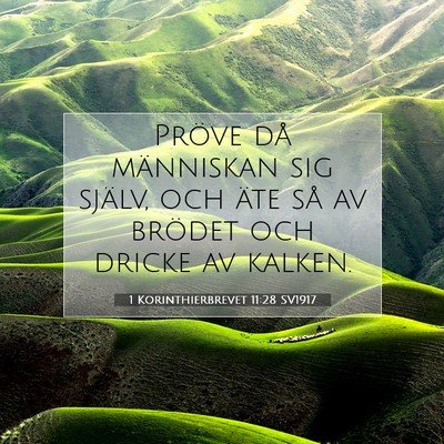 Picture 07 - 1 Korinthierbrevet 11:28 SV1917 - Pröve då människan sig själv, och äte så av - Bible Verse Picture