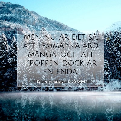Picture 07 - 1 Korinthierbrevet 12:20 SV1917 - Men nu är det så, att lemmarna äro många, och - Bible Verse Picture