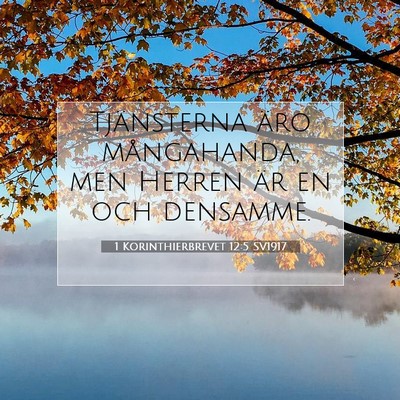 Picture 07 - 1 Korinthierbrevet 12:5 SV1917 - Tjänsterna äro mångahanda, men Herren är en - Bible Verse Picture