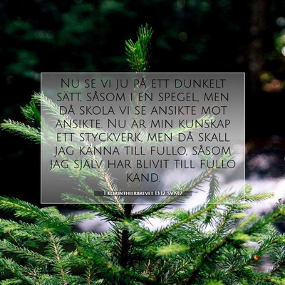 Picture 07 - 1 Korinthierbrevet 13:12 SV1917 - Nu se vi ju på ett dunkelt sätt, såsom i en - Bible Verse Picture