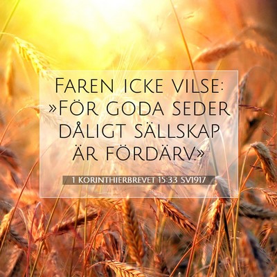 Picture 07 - 1 Korinthierbrevet 15:33 SV1917 - Faren icke vilse: »För goda seder dåligt - Bible Verse Picture