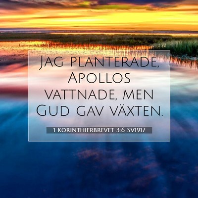 Picture 07 - 1 Korinthierbrevet 3:6 SV1917 - Jag planterade, Apollos vattnade, men Gud gav - Bible Verse Picture
