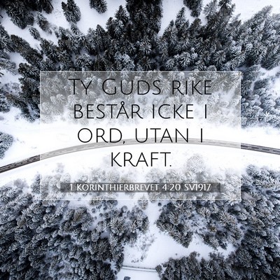 Picture 07 - 1 Korinthierbrevet 4:20 SV1917 - Ty Guds rike består icke i ord, utan i - Bible Verse Picture