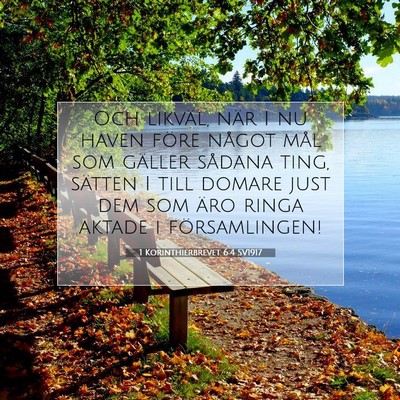 Picture 07 - 1 Korinthierbrevet 6:4 SV1917 - Och likväl, när I nu haven före något mål - Bible Verse Picture