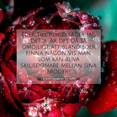 Picture 07 - 1 Korinthierbrevet 6:5 SV1917 - Eder till blygd säger jag detta. Är det då så - Bible Verse Picture