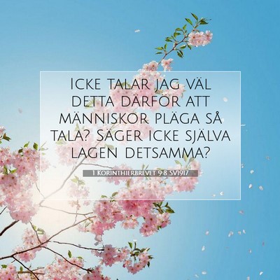 Picture 07 - 1 Korinthierbrevet 9:8 SV1917 - Icke talar jag väl detta därför att människor - Bible Verse Picture