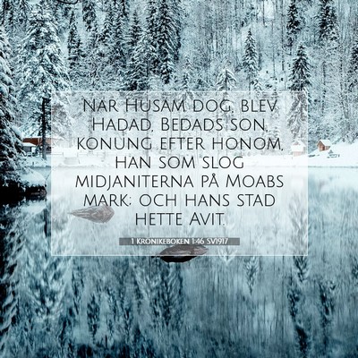 Picture 07 - 1 Krönikeboken 1:46 SV1917 - När Husam dog, blev Hadad, Bedads son, konung - Bible Verse Picture
