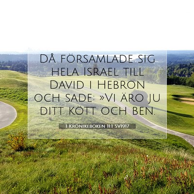 Picture 07 - 1 Krönikeboken 11:1 SV1917 - Då församlade sig hela Israel till David i - Bible Verse Picture