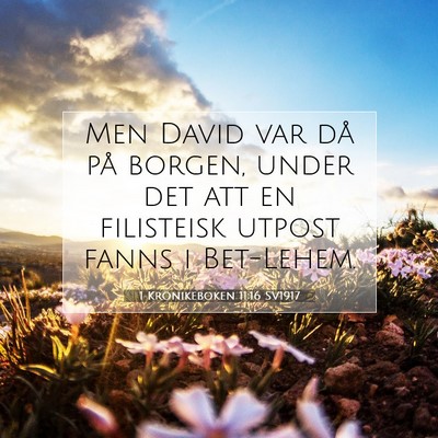 Picture 07 - 1 Krönikeboken 11:16 SV1917 - Men David var då på borgen, under det att en - Bible Verse Picture