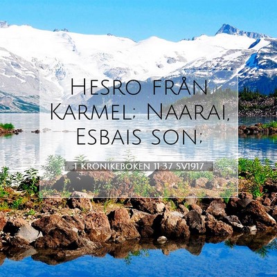 Picture 07 - 1 Krönikeboken 11:37 SV1917 - Hesro från Karmel; Naarai, Esbais - Bible Verse Picture