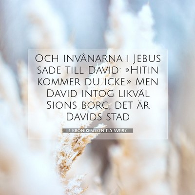 Picture 07 - 1 Krönikeboken 11:5 SV1917 - Och invånarna i Jebus sade till David: »Hitin - Bible Verse Picture