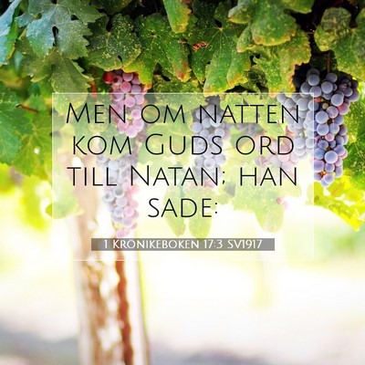 Picture 07 - 1 Krönikeboken 17:3 SV1917 - Men om natten kom Guds ord till Natan; han - Bible Verse Picture