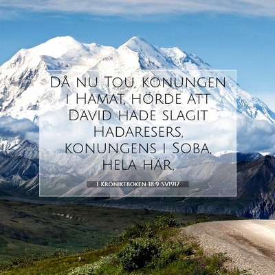 Picture 07 - 1 Krönikeboken 18:9 SV1917 - Då nu Tou, konungen i Hamat, hörde att David - Bible Verse Picture
