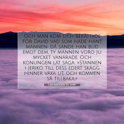Picture 07 - 1 Krönikeboken 19:5 SV1917 - Och man kom och berättade för David vad som - Bible Verse Picture