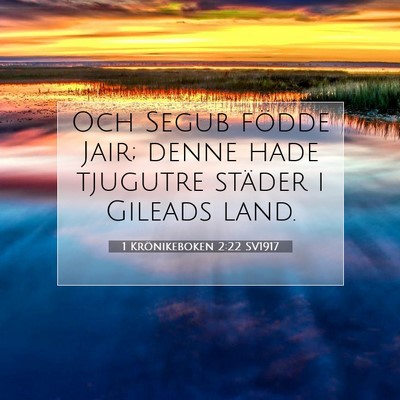 Picture 07 - 1 Krönikeboken 2:22 SV1917 - Och Segub födde Jair; denne hade tjugutre - Bible Verse Picture