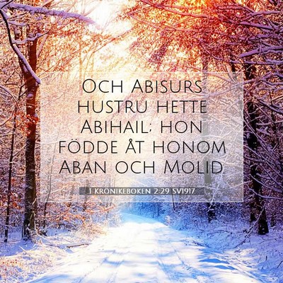 Picture 07 - 1 Krönikeboken 2:29 SV1917 - Och Abisurs hustru hette Abihail; hon födde åt - Bible Verse Picture