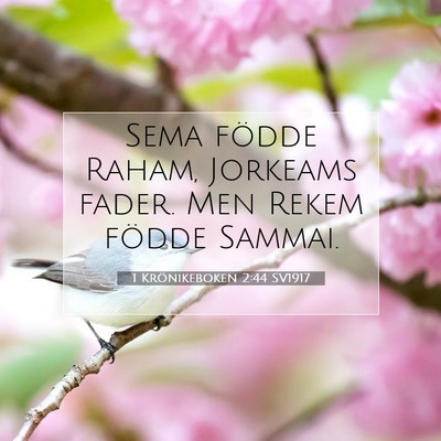Picture 07 - 1 Krönikeboken 2:44 SV1917 - Sema födde Raham, Jorkeams fader. Men Rekem - Bible Verse Picture