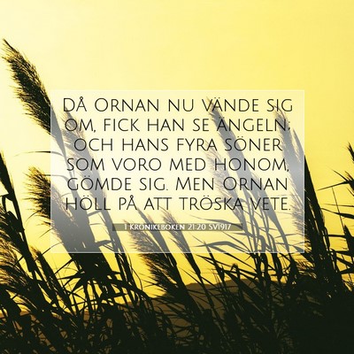 Picture 07 - 1 Krönikeboken 21:20 SV1917 - Då Ornan nu vände sig om, fick han se ängeln; - Bible Verse Picture