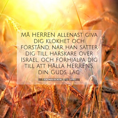 Picture 07 - 1 Krönikeboken 22:12 SV1917 - Må HERREN allenast giva dig klokhet och - Bible Verse Picture