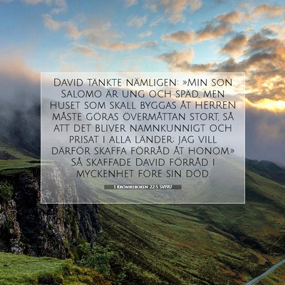 Picture 07 - 1 Krönikeboken 22:5 SV1917 - David tänkte nämligen: »Min son Salomo är ung - Bible Verse Picture