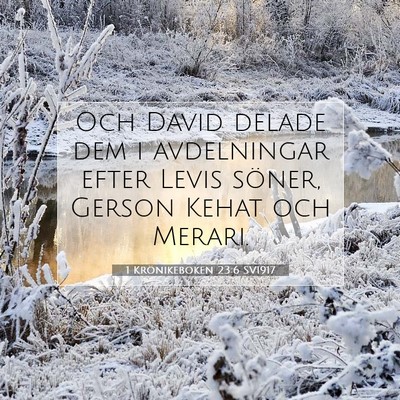 Picture 07 - 1 Krönikeboken 23:6 SV1917 - Och David delade dem i avdelningar efter Levis - Bible Verse Picture