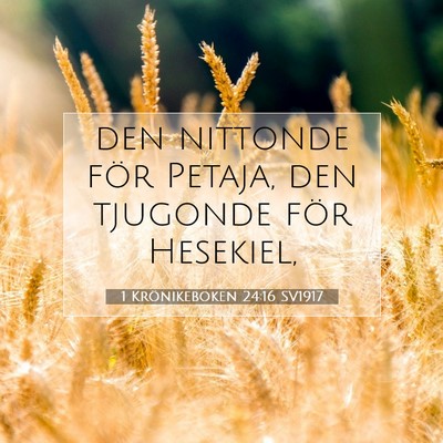 Picture 07 - 1 Krönikeboken 24:16 SV1917 - den nittonde för Petaja, den tjugonde för - Bible Verse Picture