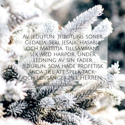 Picture 07 - 1 Krönikeboken 25:3 SV1917 - Av Jedutun: Jedutuns söner Gedalja, Seri, - Bible Verse Picture