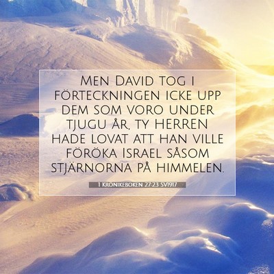 Picture 07 - 1 Krönikeboken 27:23 SV1917 - Men David tog i förteckningen icke upp dem som - Bible Verse Picture