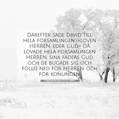 Picture 07 - 1 Krönikeboken 29:20 SV1917 - Därefter sade David till hela församlingen: - Bible Verse Picture