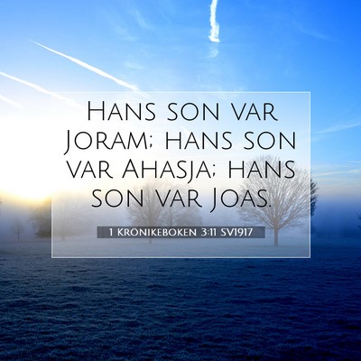 Picture 07 - 1 Krönikeboken 3:11 SV1917 - Hans son var Joram; hans son var Ahasja; hans son - Bible Verse Picture