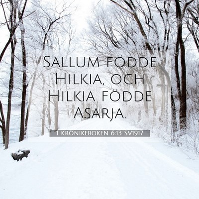 Picture 07 - 1 Krönikeboken 6:13 SV1917 - Sallum födde Hilkia, och Hilkia födde - Bible Verse Picture