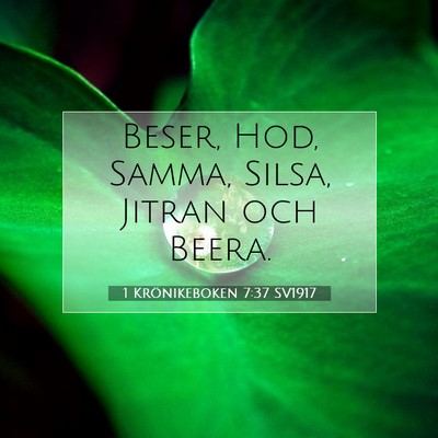 Picture 07 - 1 Krönikeboken 7:37 SV1917 - Beser, Hod, Samma, Silsa, Jitran och - Bible Verse Picture
