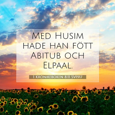 Picture 07 - 1 Krönikeboken 8:11 SV1917 - Med Husim hade han fött Abitub och - Bible Verse Picture