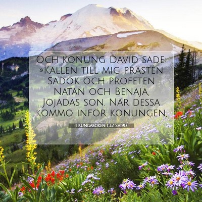 Picture 07 - 1 Kungaboken 1:32 SV1917 - Och konung David sade: »Kallen till mig prästen - Bible Verse Picture