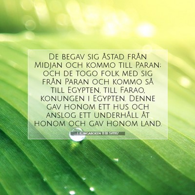 Picture 07 - 1 Kungaboken 11:18 SV1917 - De begav sig åstad från Midjan och kommo till - Bible Verse Picture